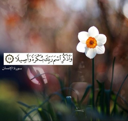 تَغّرِيدآتِي ممَّـآ رآآآقْ لـيِ☺