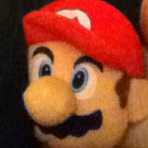 MarginGrotle's profile picture. 🇺🇦💔