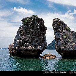 typist03003's profile picture. 도도하게 살자