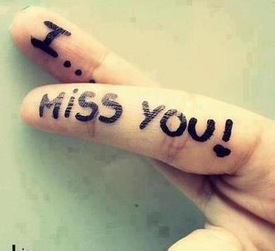 bearabia's profile picture. 