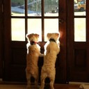 Travis Stroud - @7JTS22 - Twitter