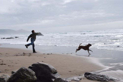 CaveDuVin's profile picture. Clumsy, aloof and never finishes anythi...