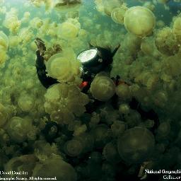 exist32104's profile picture. 그냥저냥 살지요