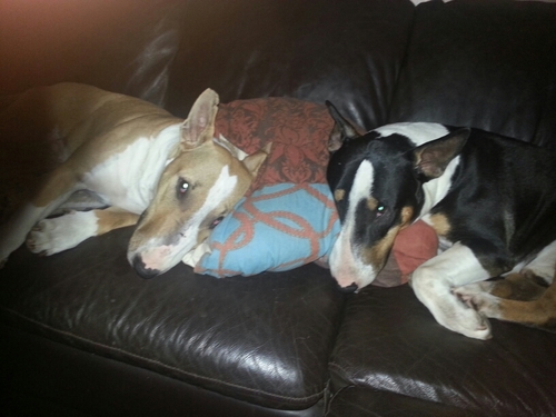 MoniqueRoesink's profile picture. 