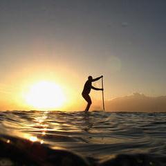 MargFraser's profile picture. 