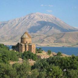 SuroHay's profile picture. 