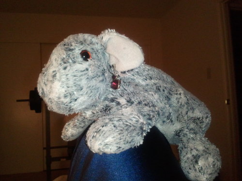 SophieCasiano's profile picture. i luv animal, haf fun, n winning - i live with dum dad I luv him but he drive me crazy sumtimes #swag