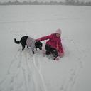 gabrielle arnold - @gjarnold20 - Twitter