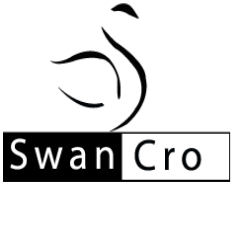 SwanCro's profile picture. This is the official account of Swancro Company.We deal in Information security& Ethical hacking