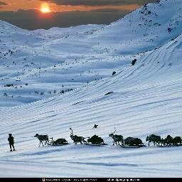 eunhee09487's profile picture. 썰매를 타고 달리는 기분 상쾌도 하다.