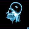ignacio_ce Profile Picture