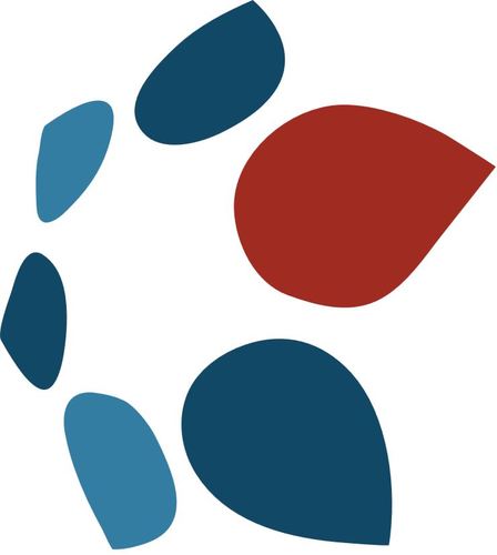 The search engine for collection and debt management