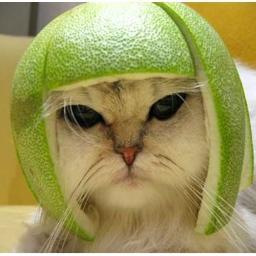 interest in network security:
Hacking, cracking, Reverse Engineering, Electronics
I also enjoy having fun!!!!!!!!!!