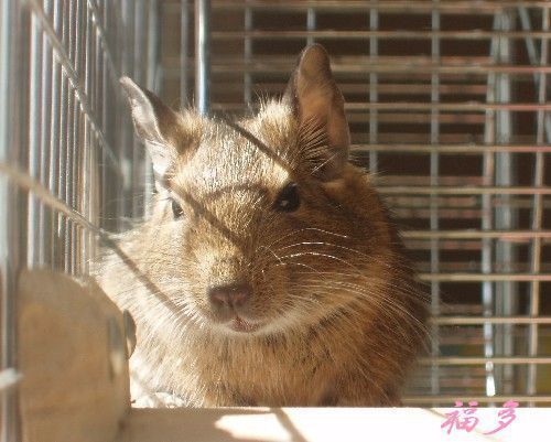 一日、一日を大切に過ごせる様になりましたぁ！