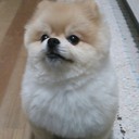 Yuto.Y (@0323_yuto) Twitter