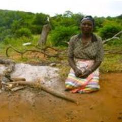 Ndi mukololo kha la venda. Lulimi lwanga lu na mutoli u difhelelaho kha mbilu ya nwana wa muvenda. Duvha li tshi tota tombo ndi sima luimbo nda anea lungano