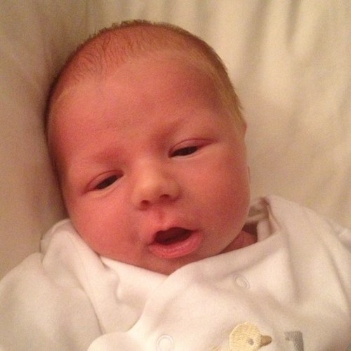 Sfeeley120's profile picture. 