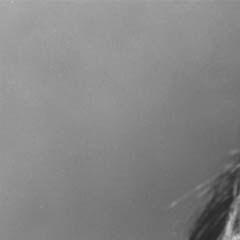 ANTHONYNTHE18's profile picture. gudal asu / gudal cupu / gudal wagu