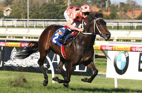 Our team of sports and racing specialists provide free tips through extensive analysis of sports and racing markets. Our moto is Put in Take Out