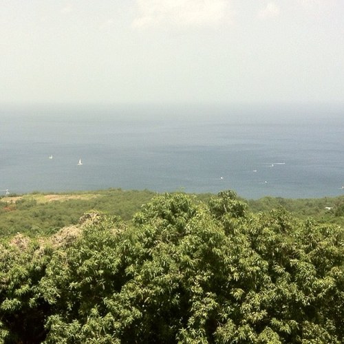 jcp971's profile picture. 