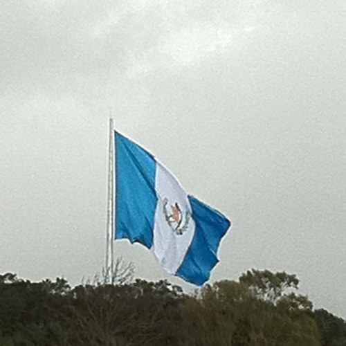 ferruiz3621's profile picture. Catedrático Universitario, Asesor en Planificación Estratégica. Informático, Católico y pro vida.