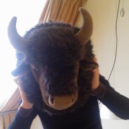 WimBoschmans101's profile picture. Creative marketing and communications specialist and music producer.