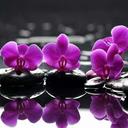 Tiffany  Stricker - @TiffStricker - Twitter