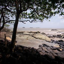 revhanter's profile picture. 