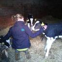 Chloë.. - @ChloeBall1137 - Twitter