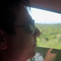 damiandecarolis's profile picture. 