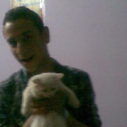 totamhd's profile picture. 