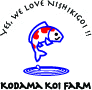 Your top source of high quality Japanese Koi, premium koi food, koi education, & care supplies imported exclusively from Japan.
Phone: 1-833-564-5683