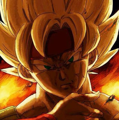 Page for the best fans in the world - the fans of Dragon ball Z.