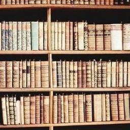 vmudrost's profile picture. 