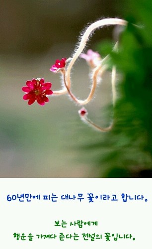 gpdjvhzjtm's profile picture. 