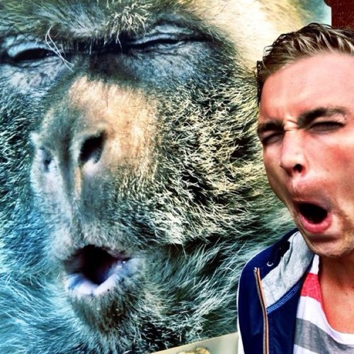 RolfGeerdink's profile picture. Marketing // Music // Friends // 50% @GoatbustersDjs