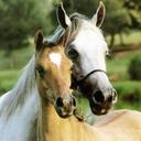 Ellen Baxter - @baxter_ellen - Twitter