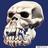 skullmonster's profile image