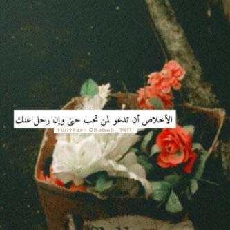 ‏‏الحب دعاء ولأني احببتها جعلت هذا الحساب يفيدها بالاخره.  @saraq1996 ♥ ♥