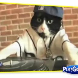 Soy el Dj que manda vale tete. Que te quede claro nano
