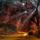 Jamie dodds  - @Scottishjay82 - Twitter