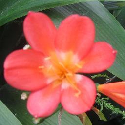 MelissaMaiy's profile picture. Always a rainbow around the corner #EventsOrganiserLDN