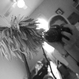 thommymccorkle's profile picture. Im thommy, nd well forget about it. if ya wna kno hmu! xP