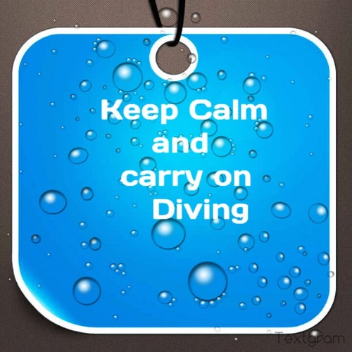 Jessi01936542's profile picture. 