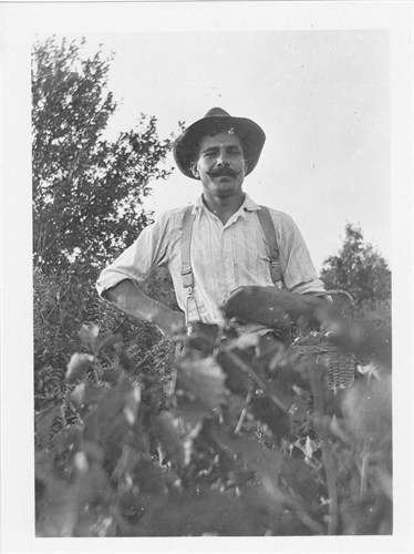 Canning and preserving business in Seattle - we use our great grandparent's methods and our modern recipes to create amazing preserves! And we deliver!