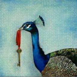MarionModica's profile picture. 