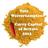 currycapitalwlv's profile image