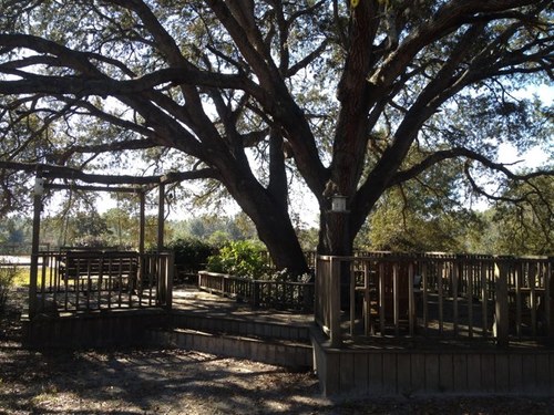 promdatefinder's profile picture. 