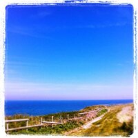 anthony basley (@anthobasley) 's Twitter Profile