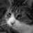 Twitter result for AA Life Insurance from cash_marilyn